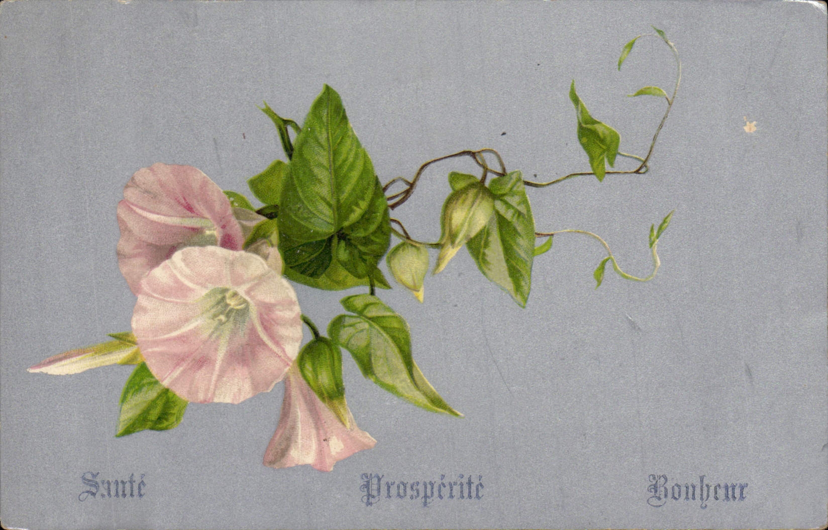 Flores de la fantasía de la POSTAL de la VENDIMIA