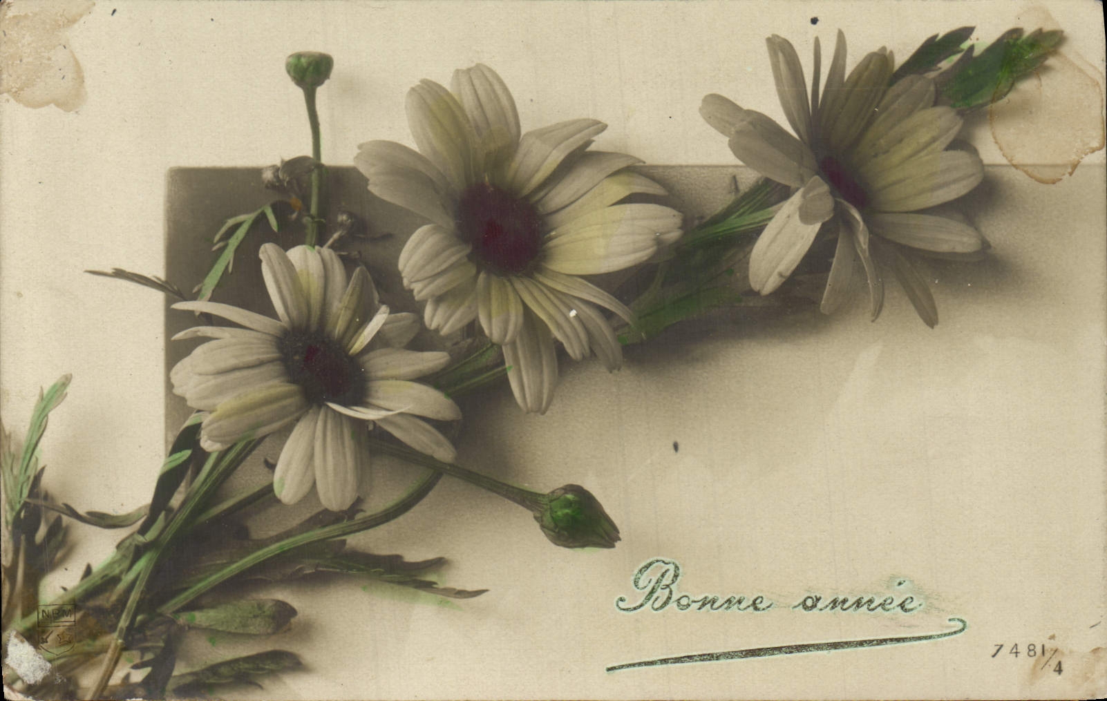 Flores de la fantasía de la POSTAL de la VENDIMIA