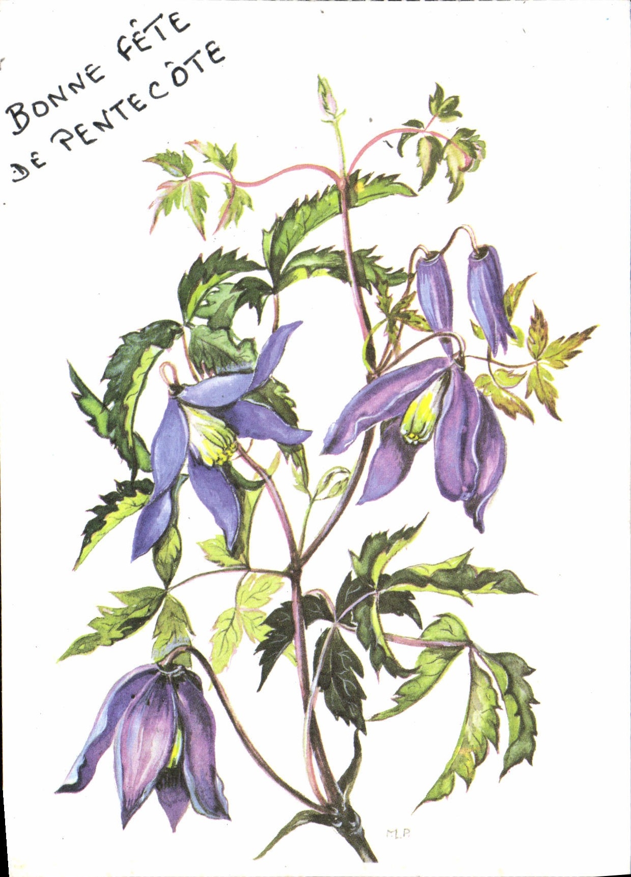 Flores de la fantasía de la POSTAL de la VENDIMIA