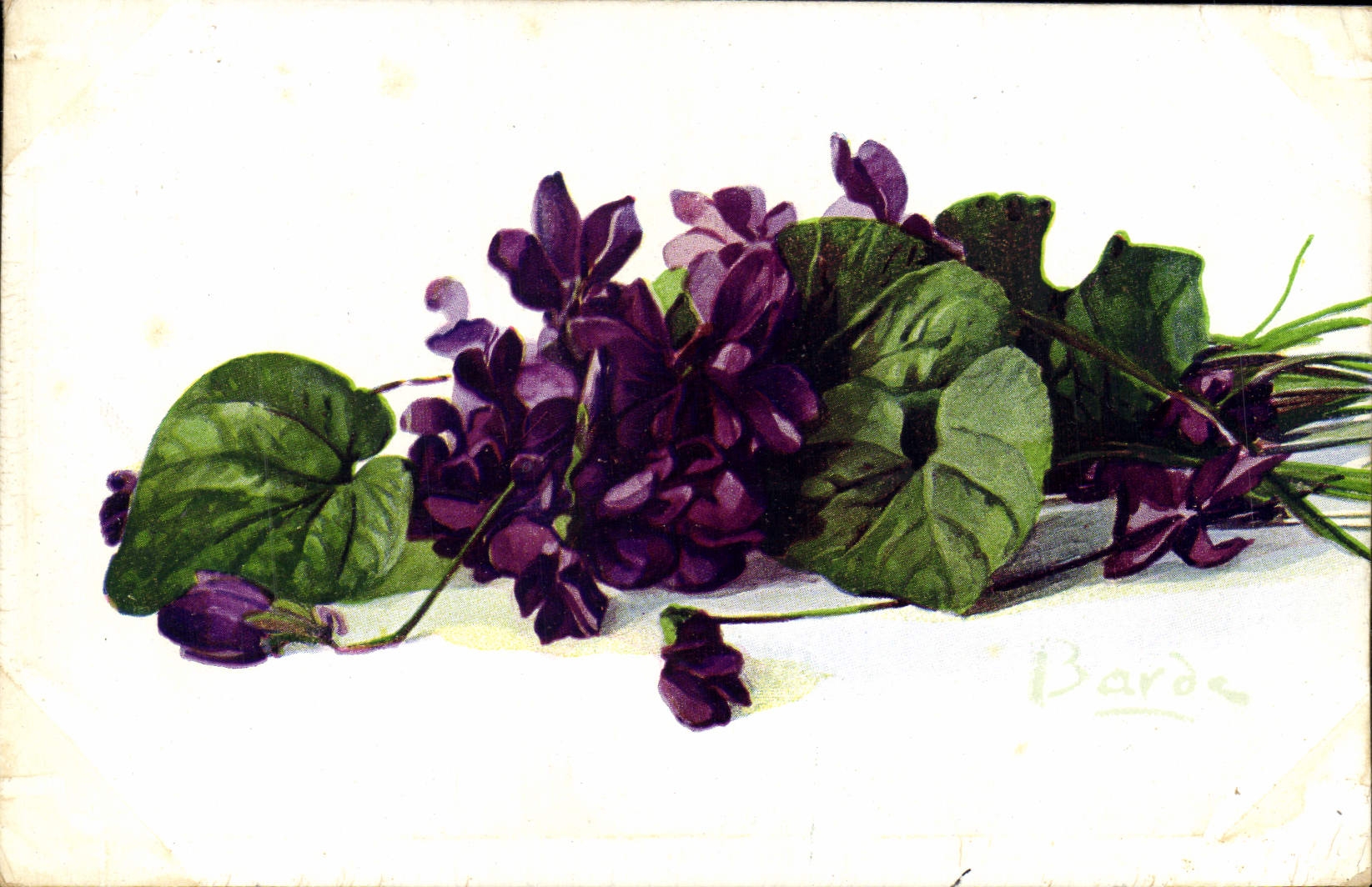 Flores de la fantasía de la POSTAL de la VENDIMIA