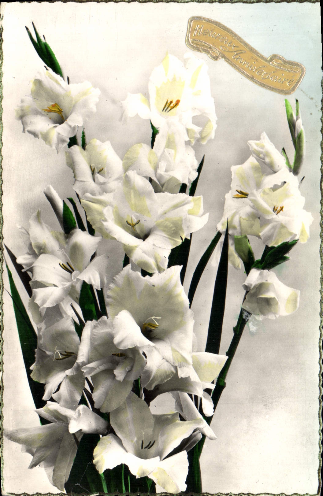 Flores de la fantasía de la POSTAL de la VENDIMIA