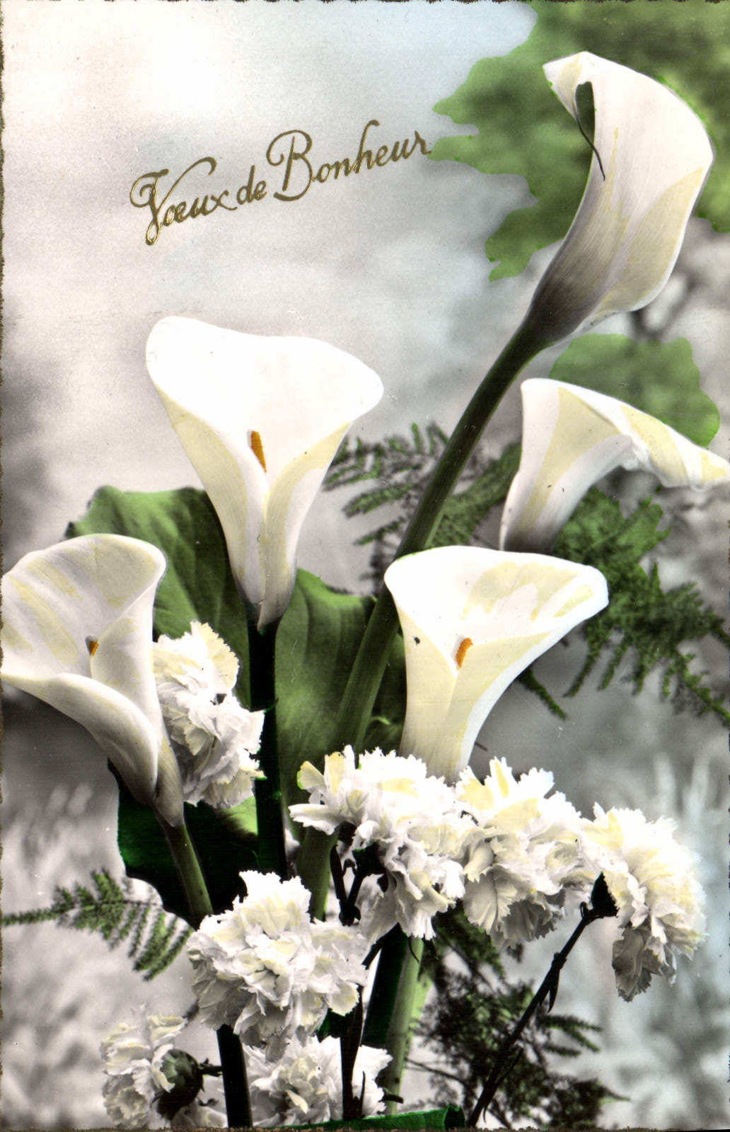 Flores de la fantasía de la POSTAL de la VENDIMIA