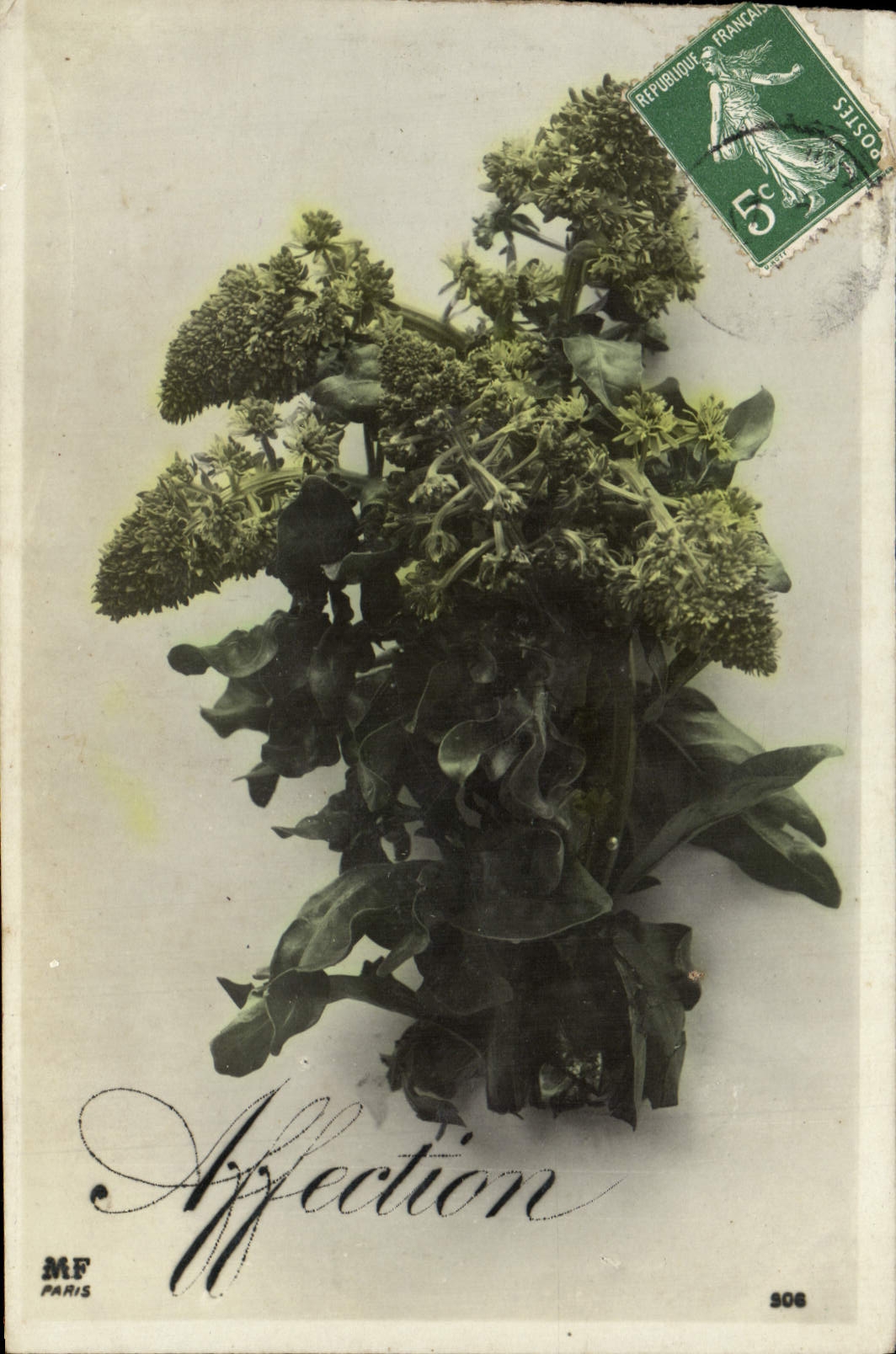 Flores de la fantasía de la POSTAL de la VENDIMIA