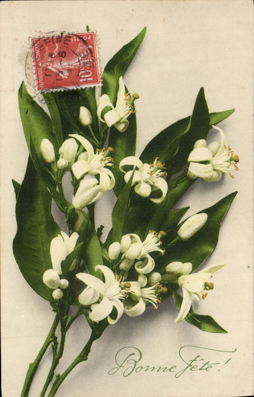 Flores de la fantasía de la POSTAL de la VENDIMIA