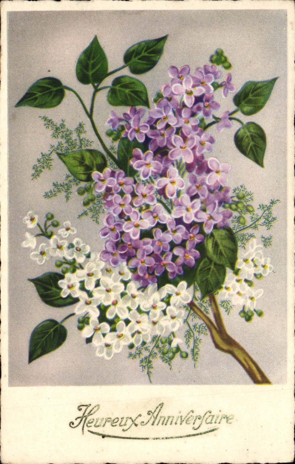 Flores de la fantasía de la POSTAL de la VENDIMIA