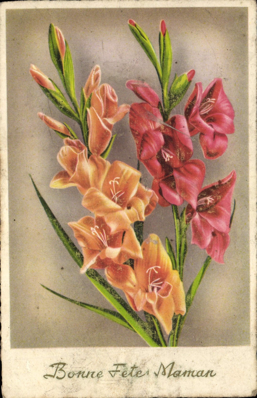 Flores de la fantasía de la POSTAL de la VENDIMIA