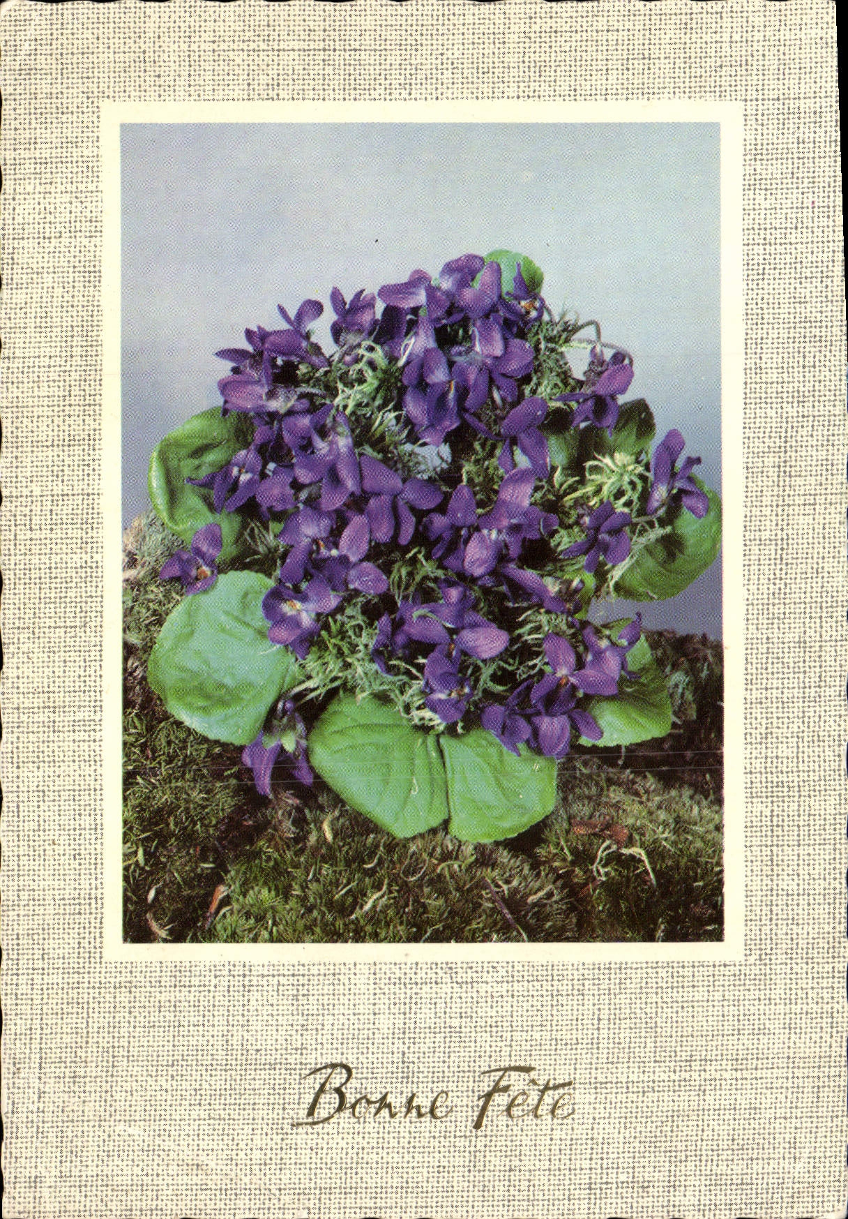 POSTAL MODERNA flores de la fantasía