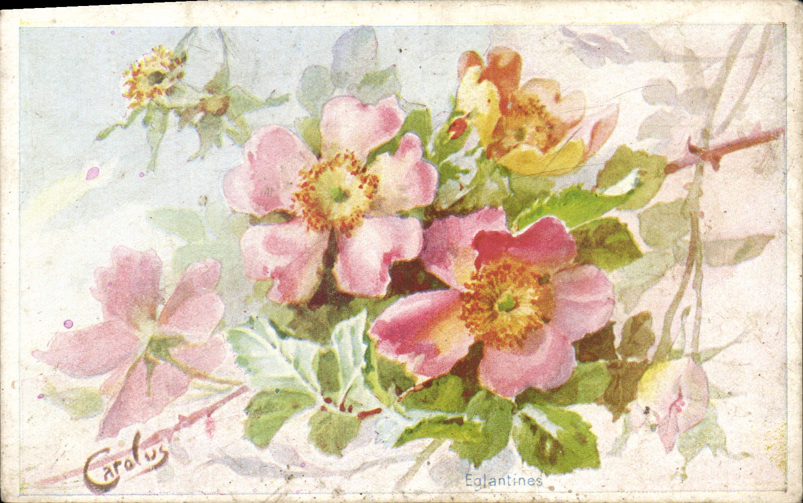 Flores de la fantasía de la POSTAL de la VENDIMIA