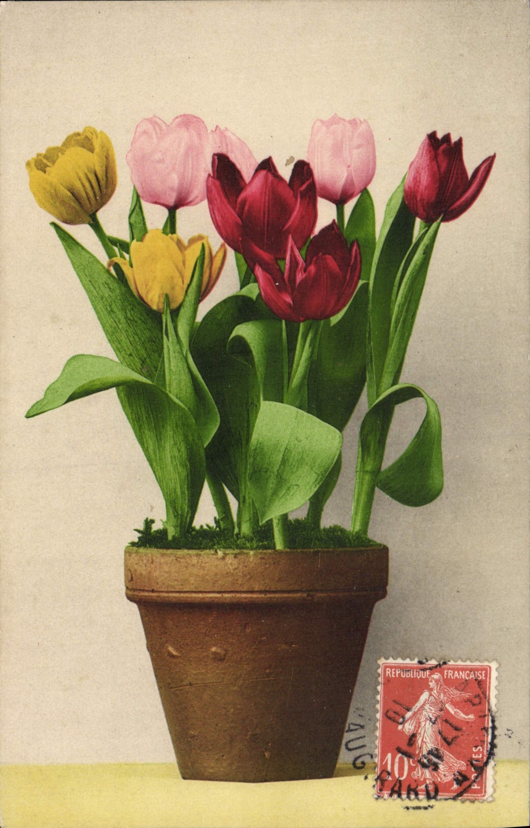 Flores de la fantasía de la POSTAL de la VENDIMIA