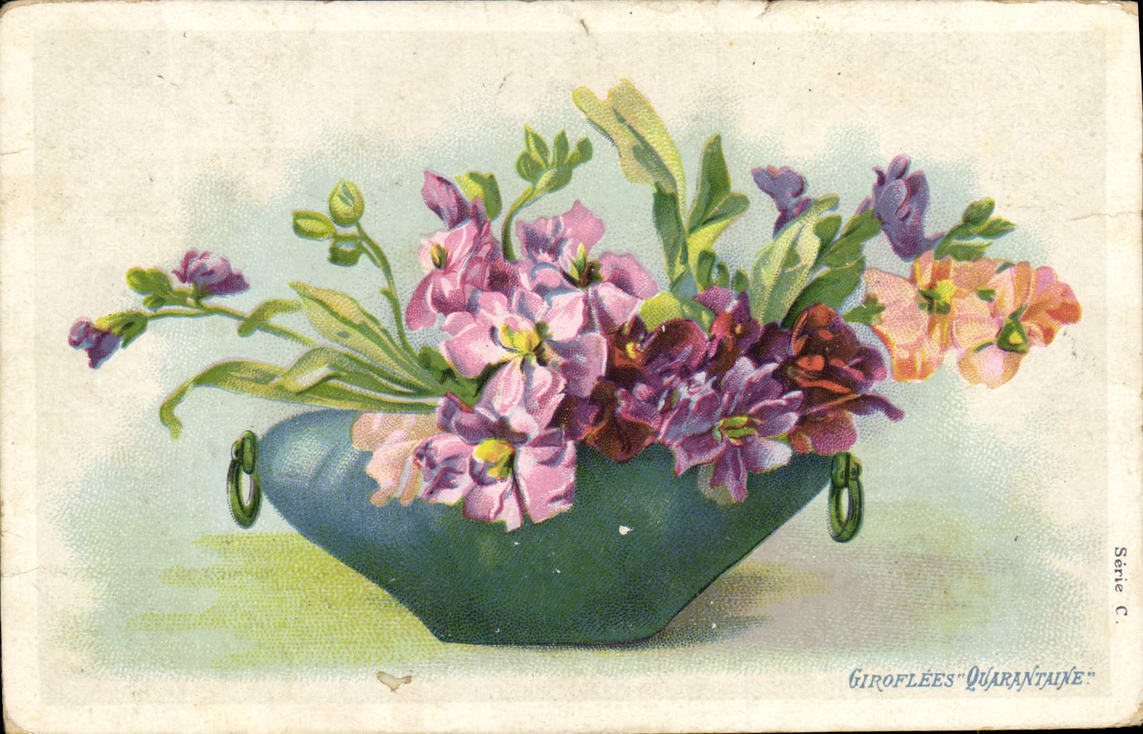 CPA Fantaisie Fleurs Giroflees Quarantaine