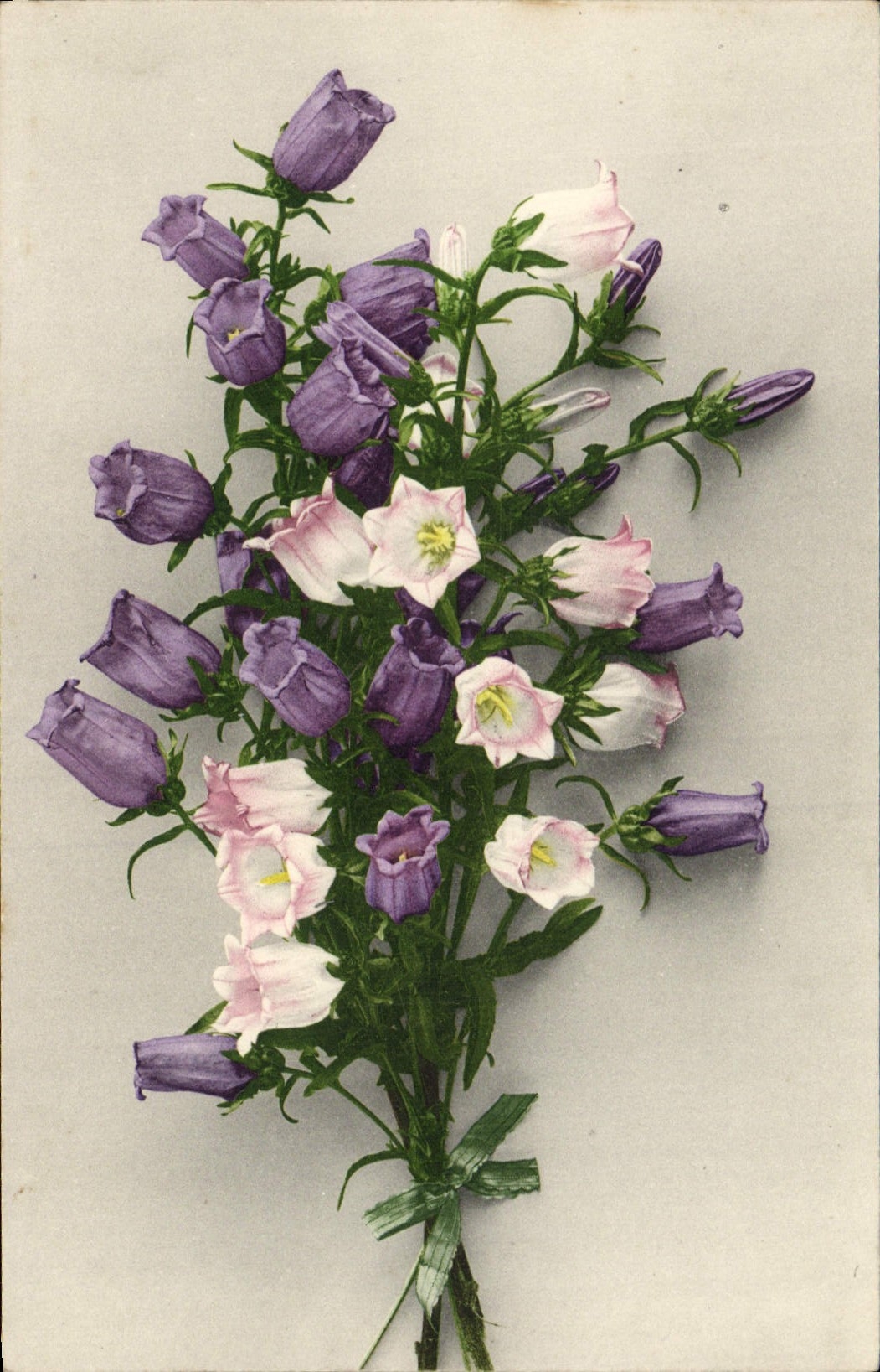 Flores de la fantasía de la POSTAL de la VENDIMIA