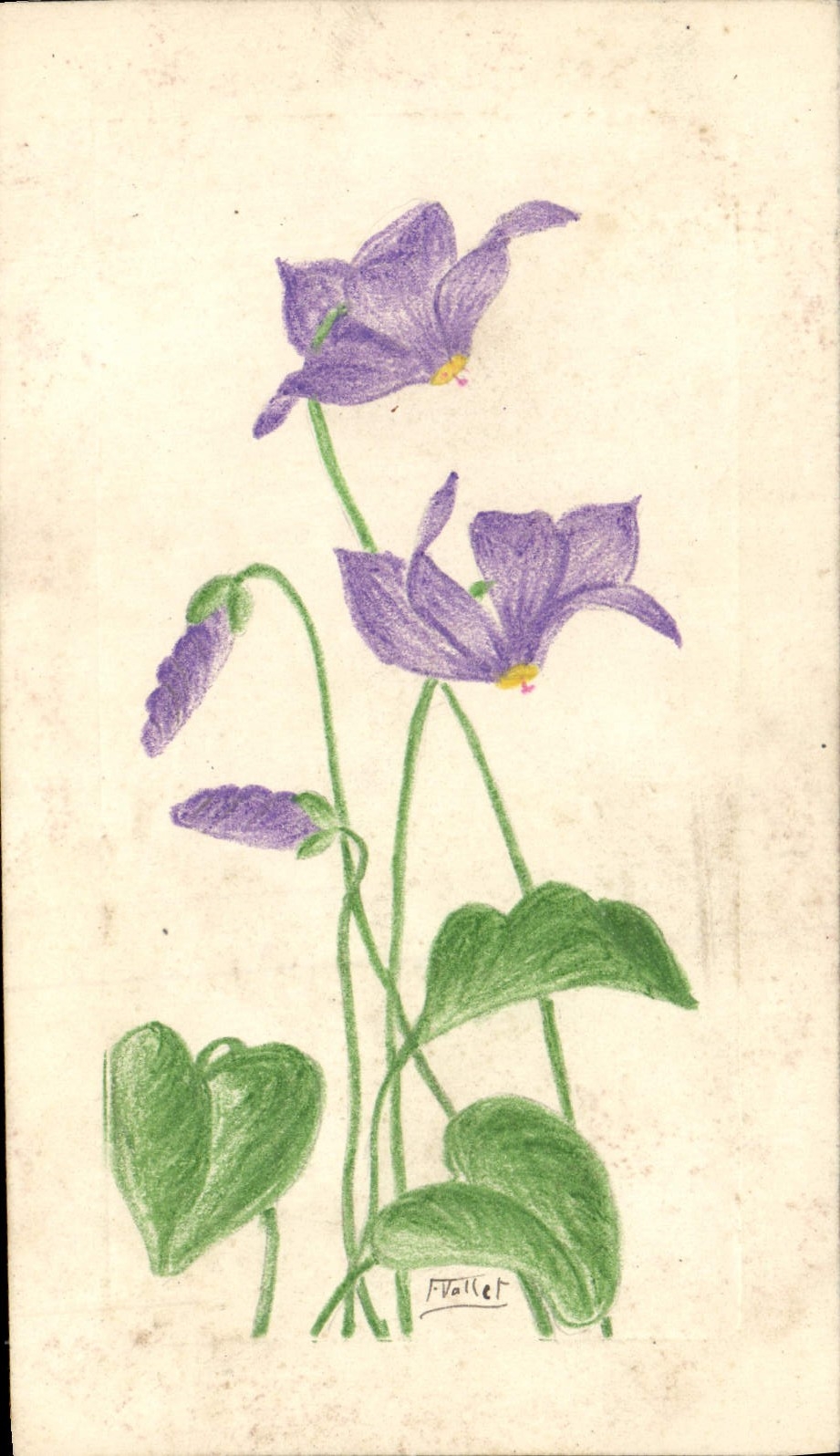 Flores de la fantasía de la POSTAL de la VENDIMIA