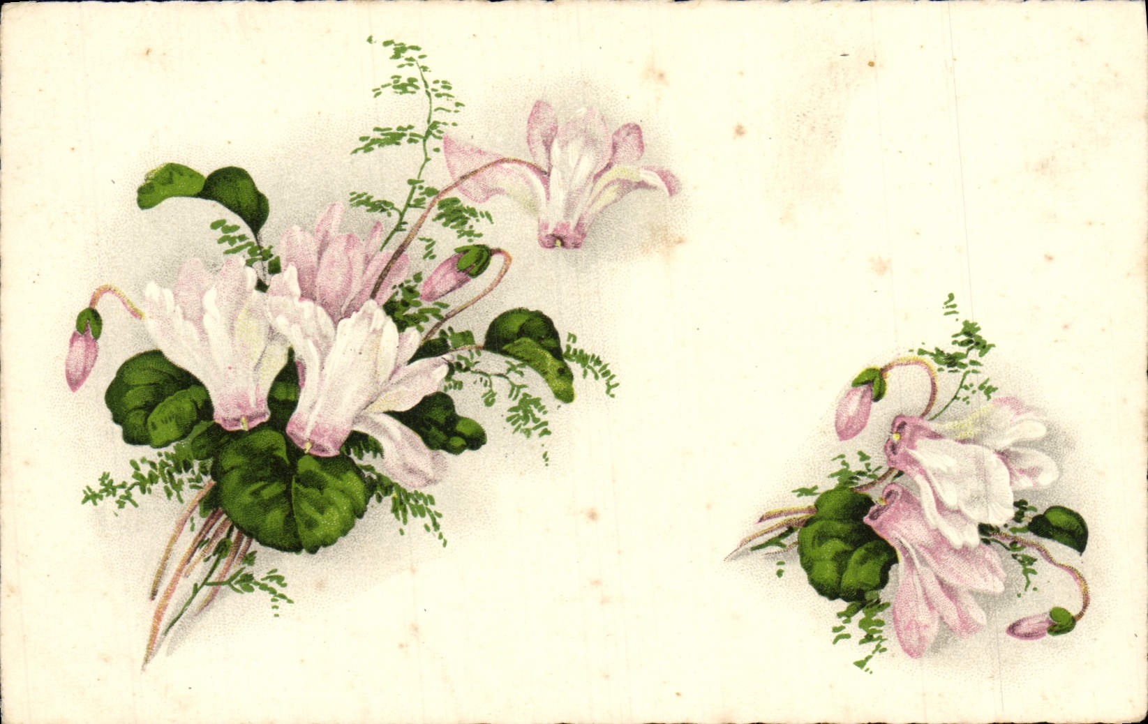 Flores de la fantasía de la POSTAL de la VENDIMIA