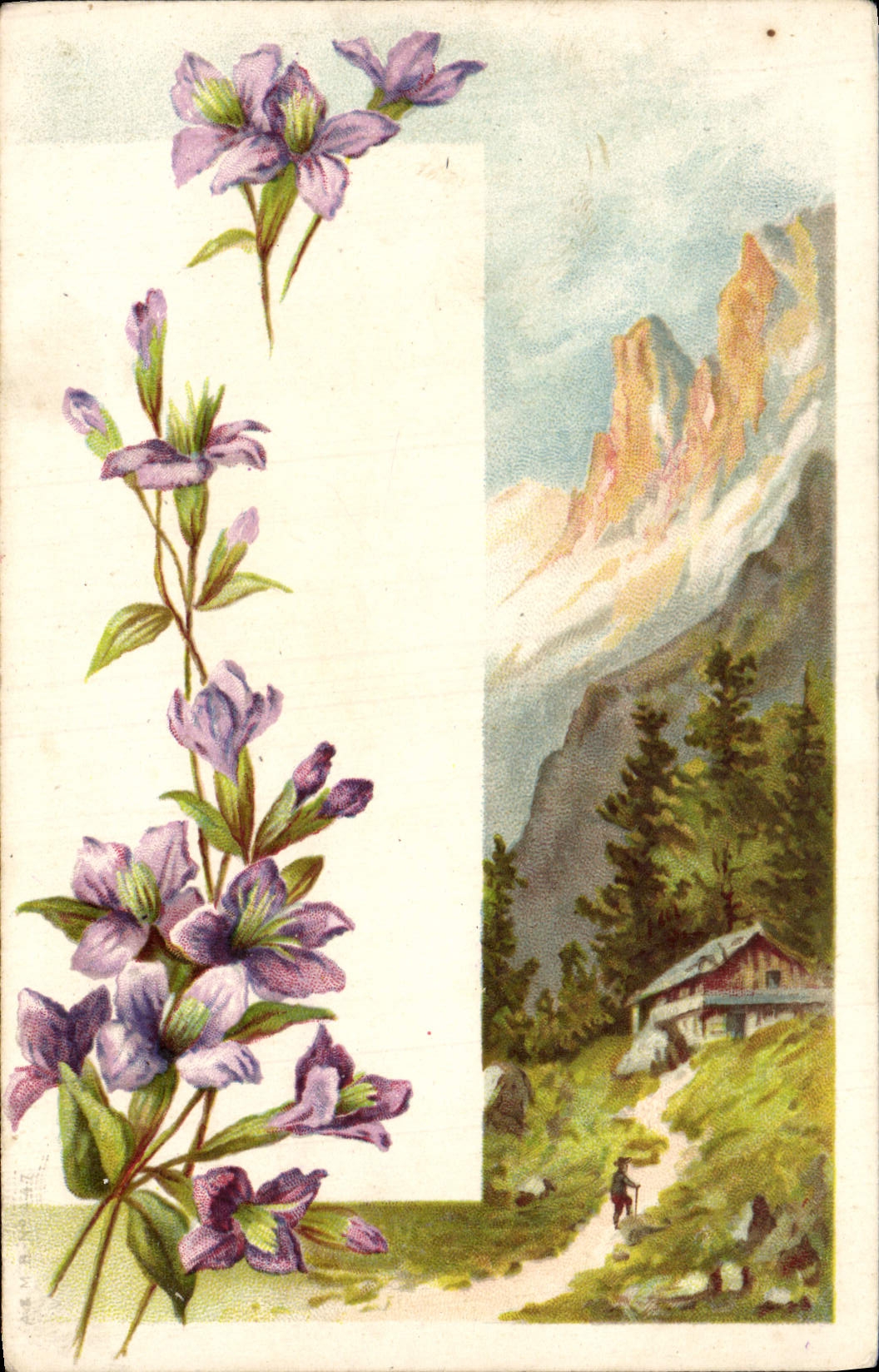 Flores de la fantasía de la POSTAL de la VENDIMIA
