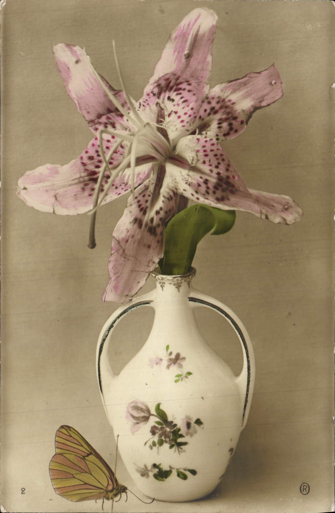 CPA Fantaisie Fleurs Insecte