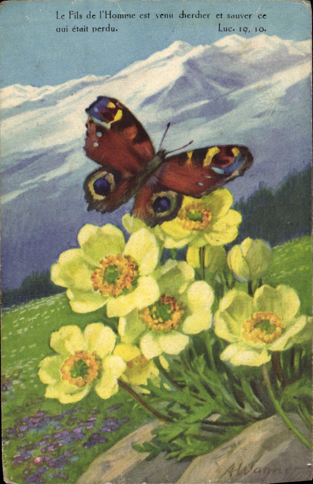 La fantasía de la POSTAL de la VENDIMIA florece la mariposa