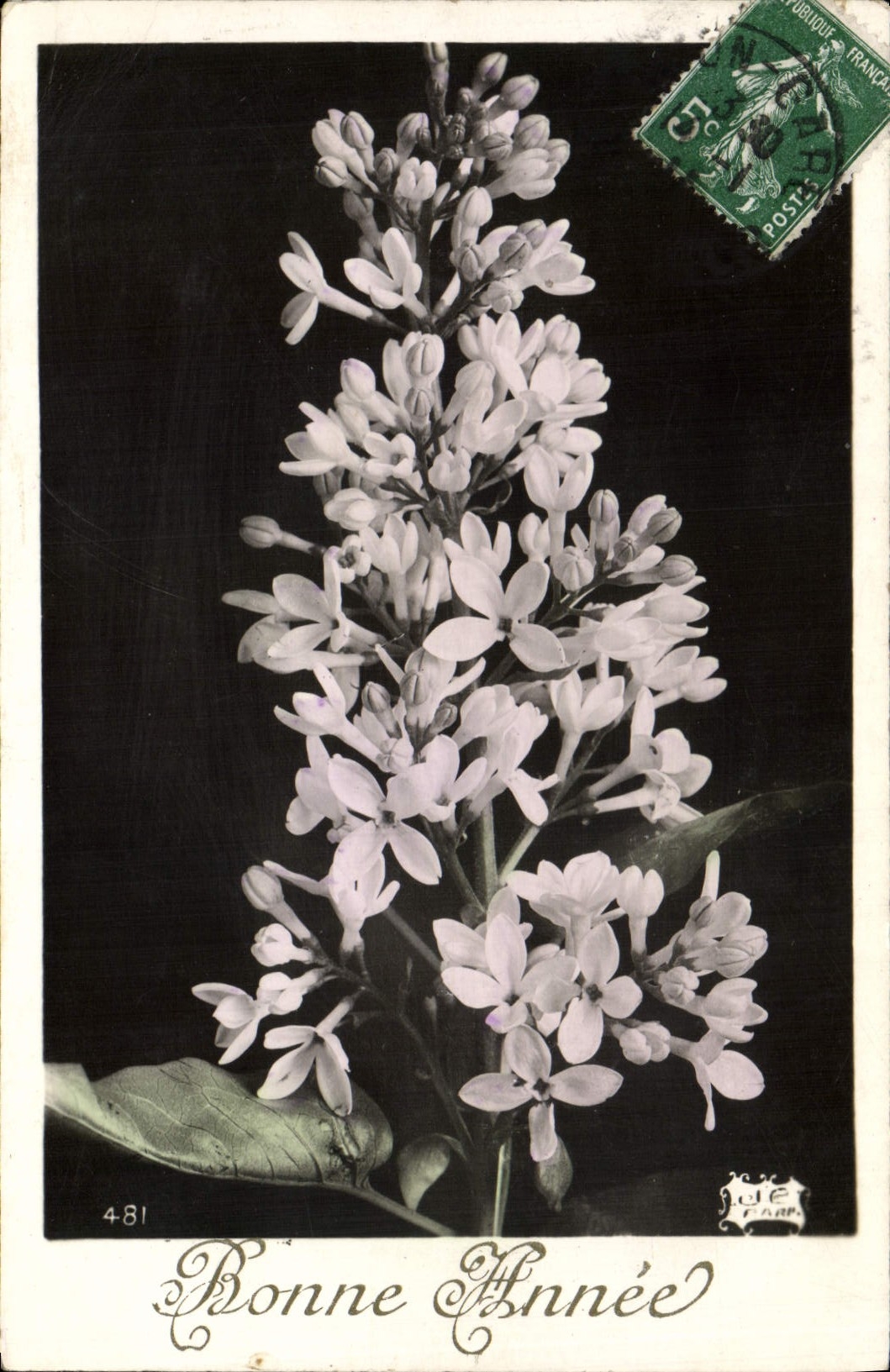 Flores de la fantasía de la POSTAL de la VENDIMIA