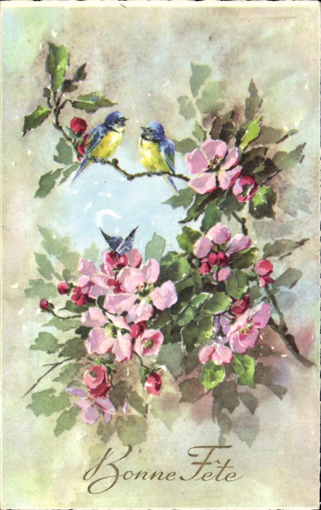 VINTAGE POSTCARD Fantasy Flowers Birds