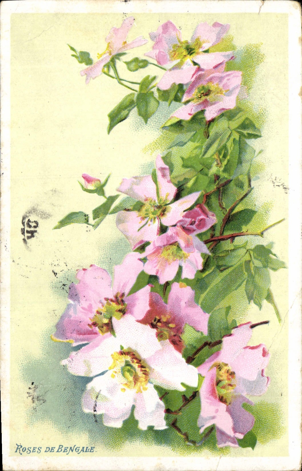 Flores de la fantasía de la POSTAL de la VENDIMIA