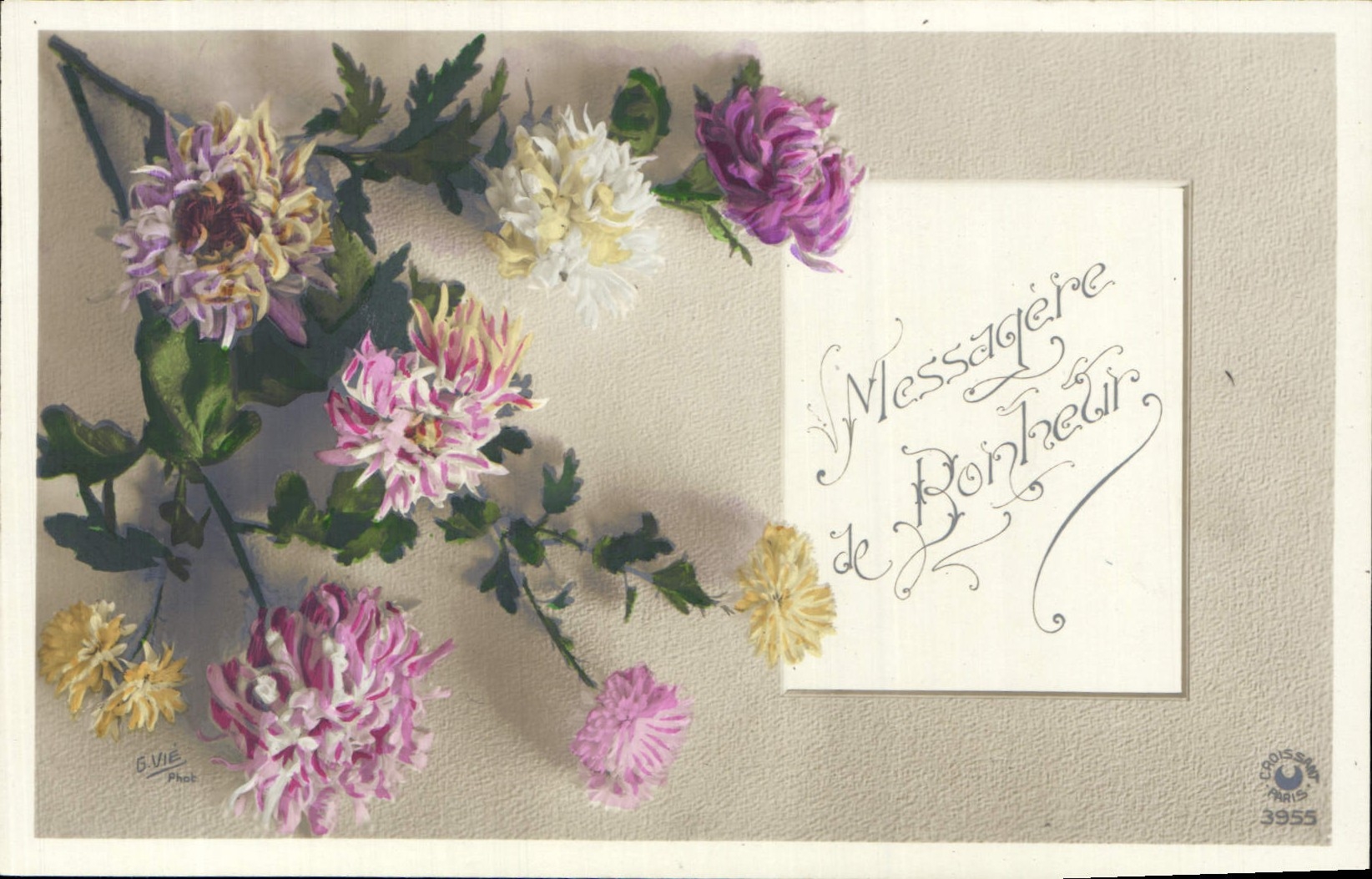 Flores de la fantasía de la POSTAL de la VENDIMIA