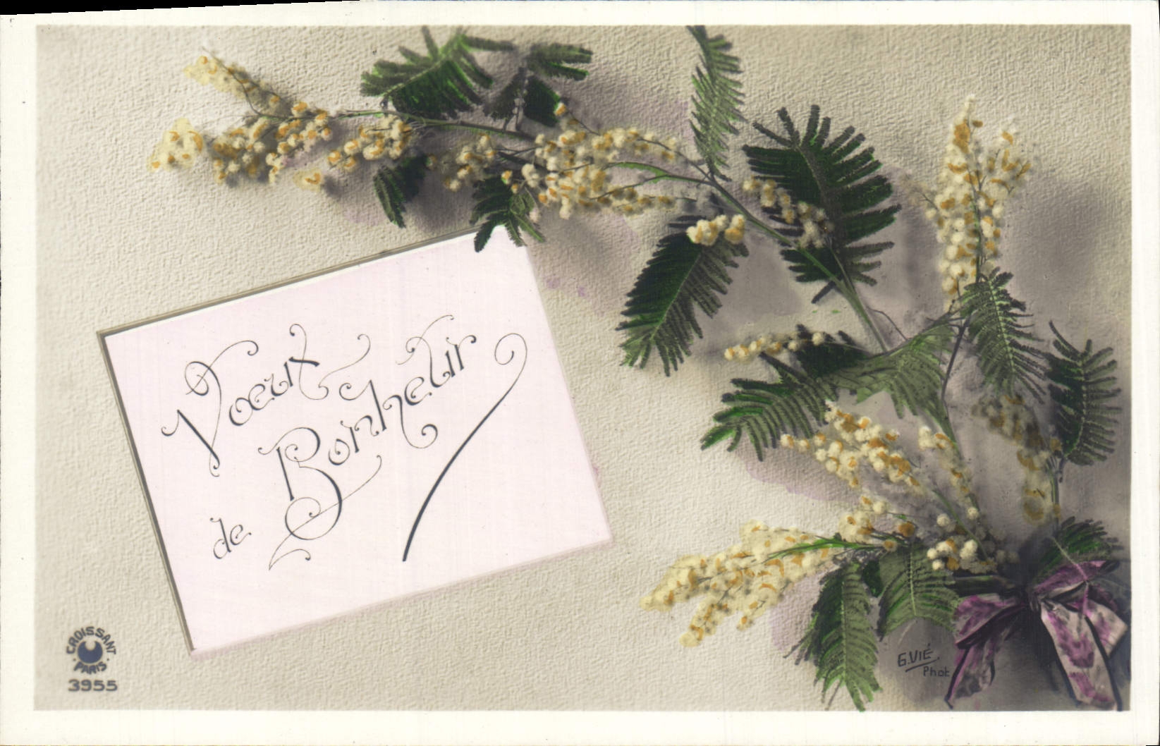 Flores de la fantasía de la POSTAL de la VENDIMIA