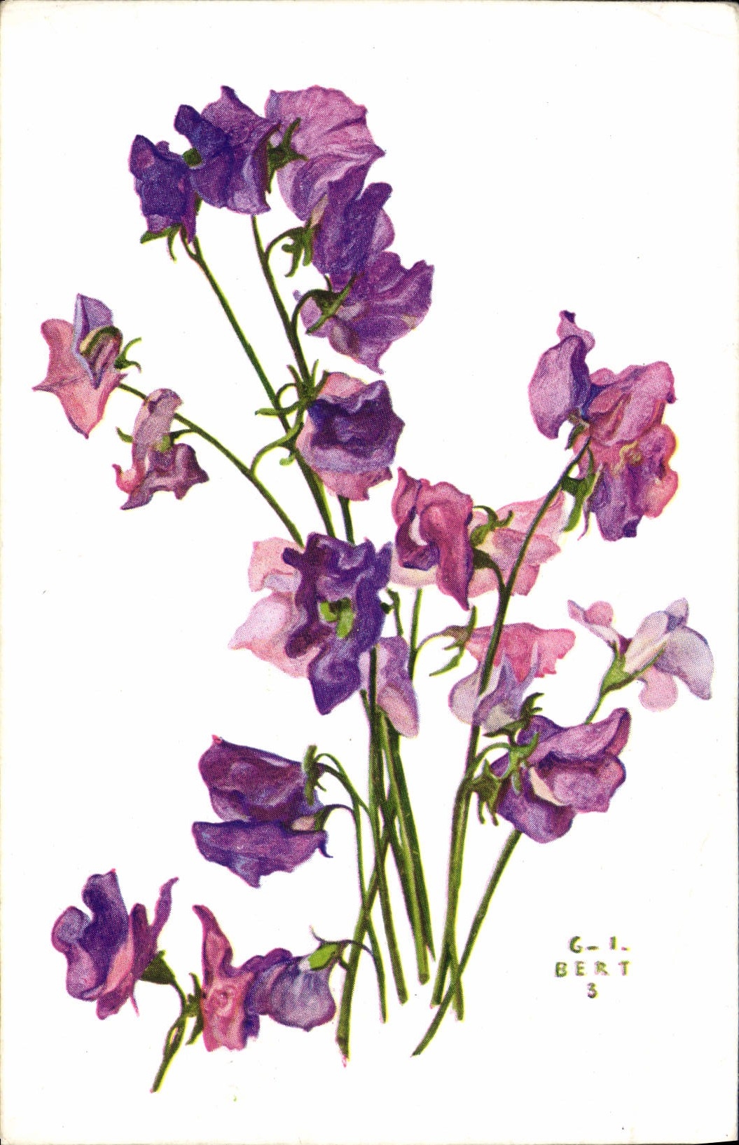 Flores de la fantasía de la POSTAL de la VENDIMIA