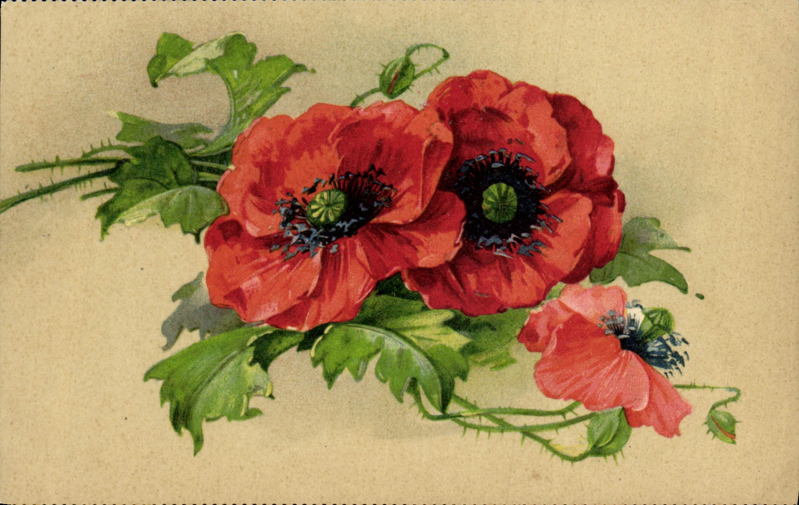 Flores de la fantasía de la POSTAL de la VENDIMIA