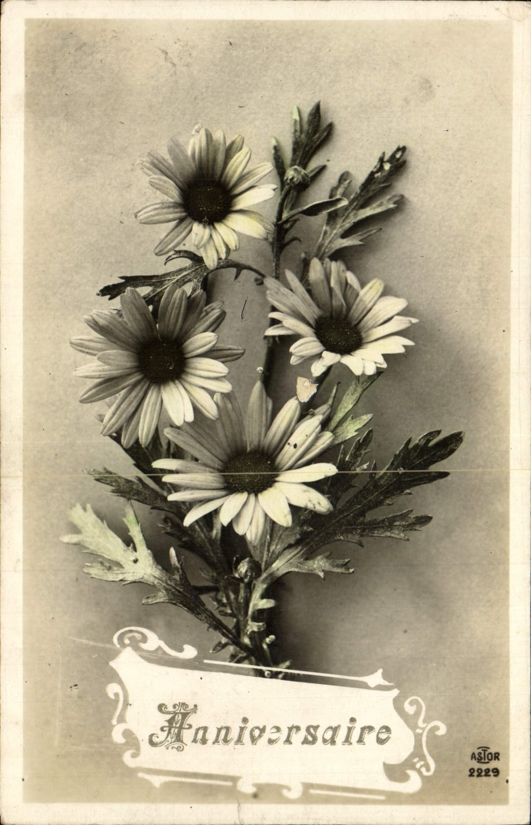 Flores de la fantasía de la POSTAL de la VENDIMIA