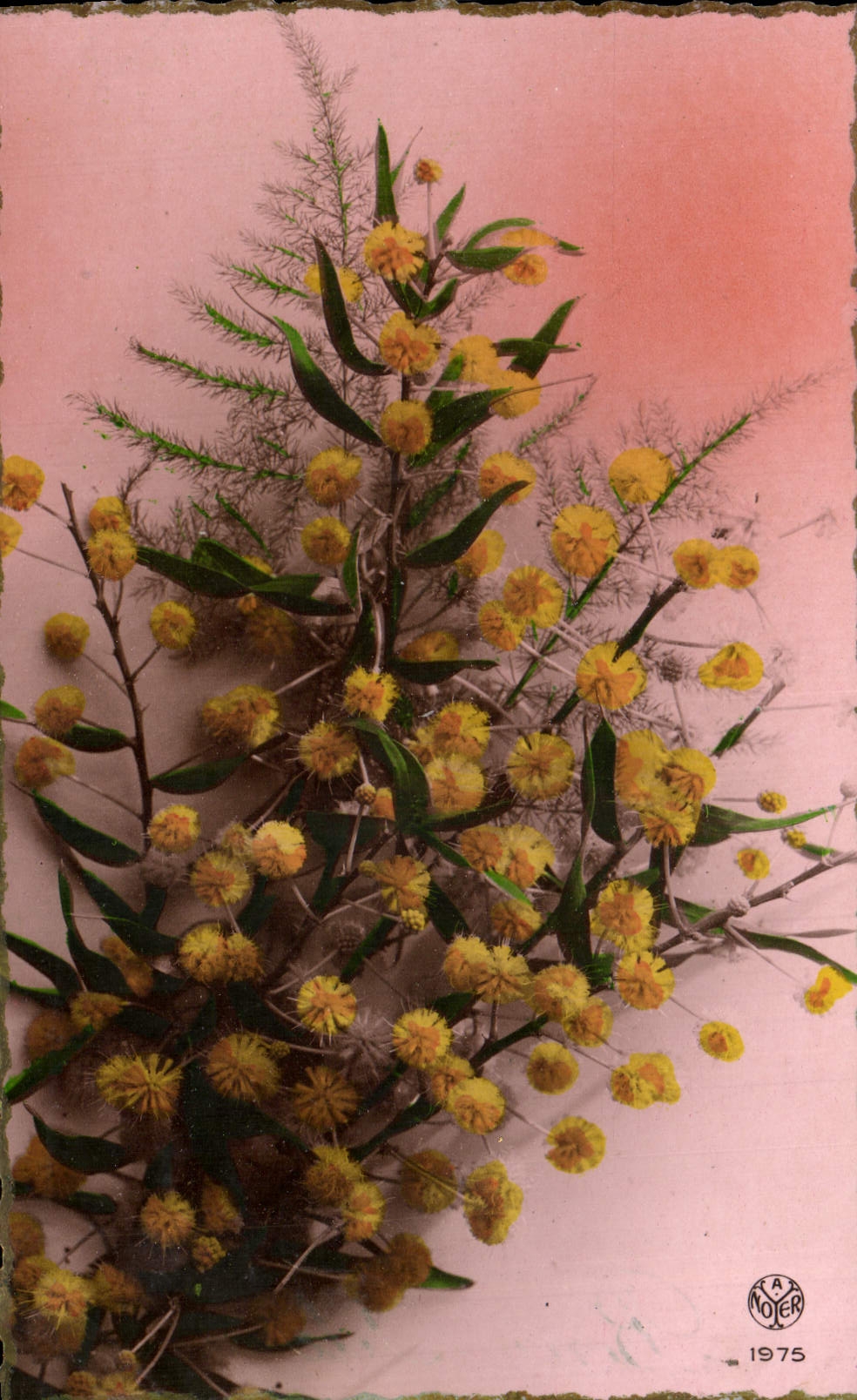 Flores de la fantasía de la POSTAL de la VENDIMIA
