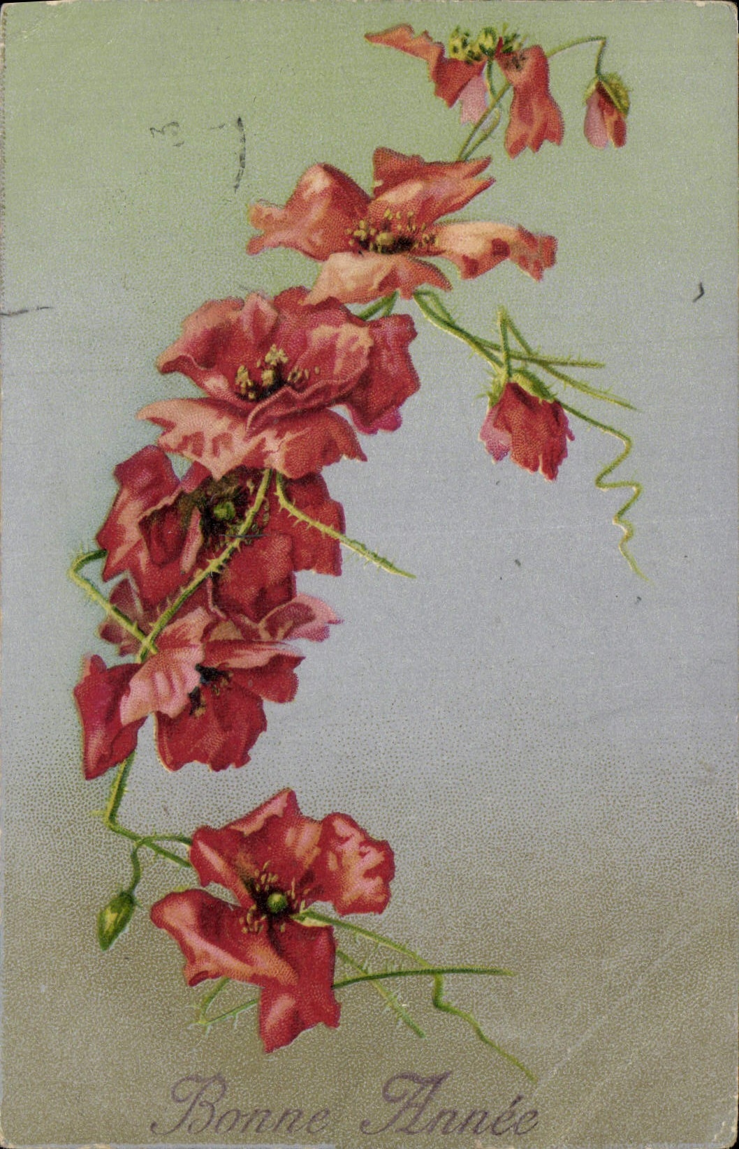 Flores de la fantasía de la POSTAL de la VENDIMIA