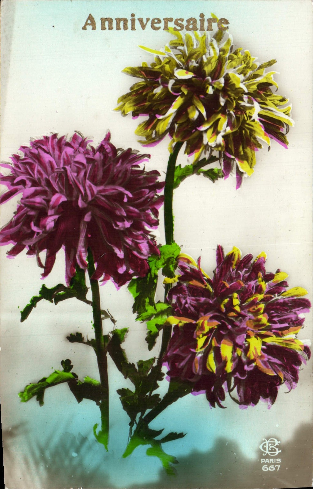 Flores de la fantasía de la POSTAL de la VENDIMIA