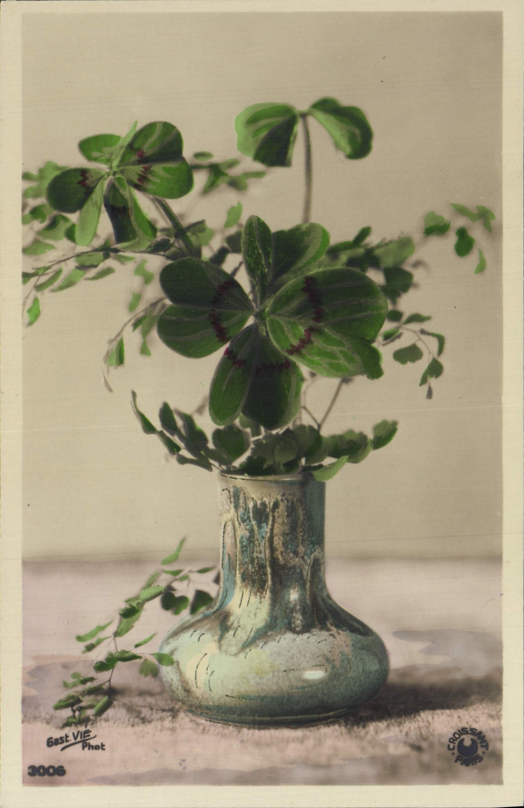 Flores de la fantasía de la POSTAL de la VENDIMIA