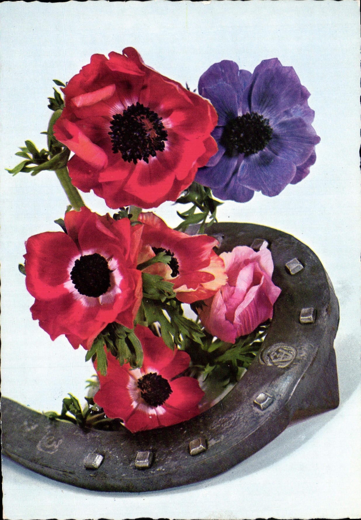 CPM Fantaisie Fleurs Fer a cheval