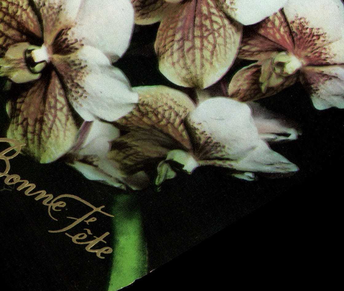 CPM Fantaisie Fleurs Vanda Ohuohu