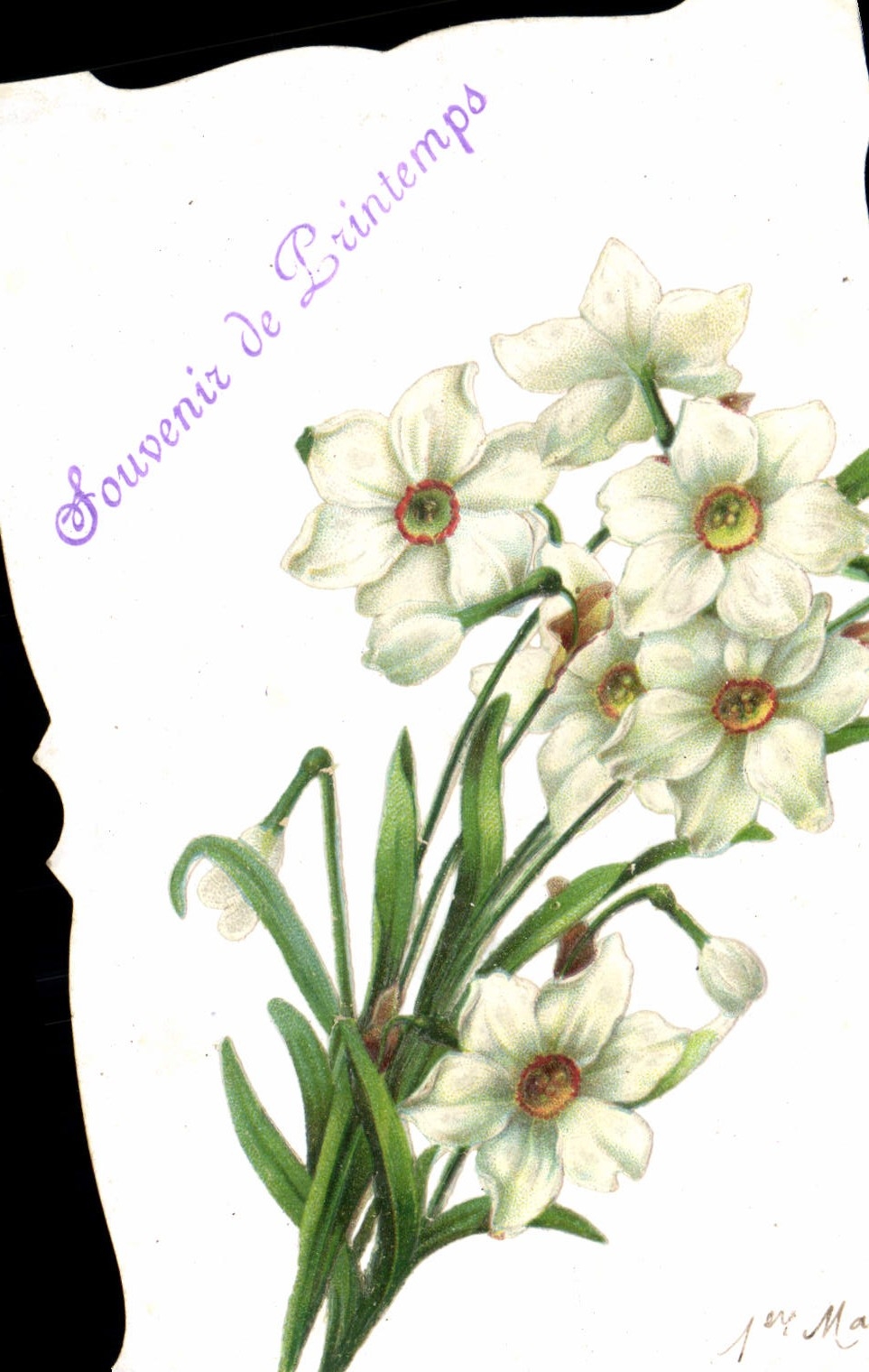 Flores de la fantasía de la POSTAL de la VENDIMIA