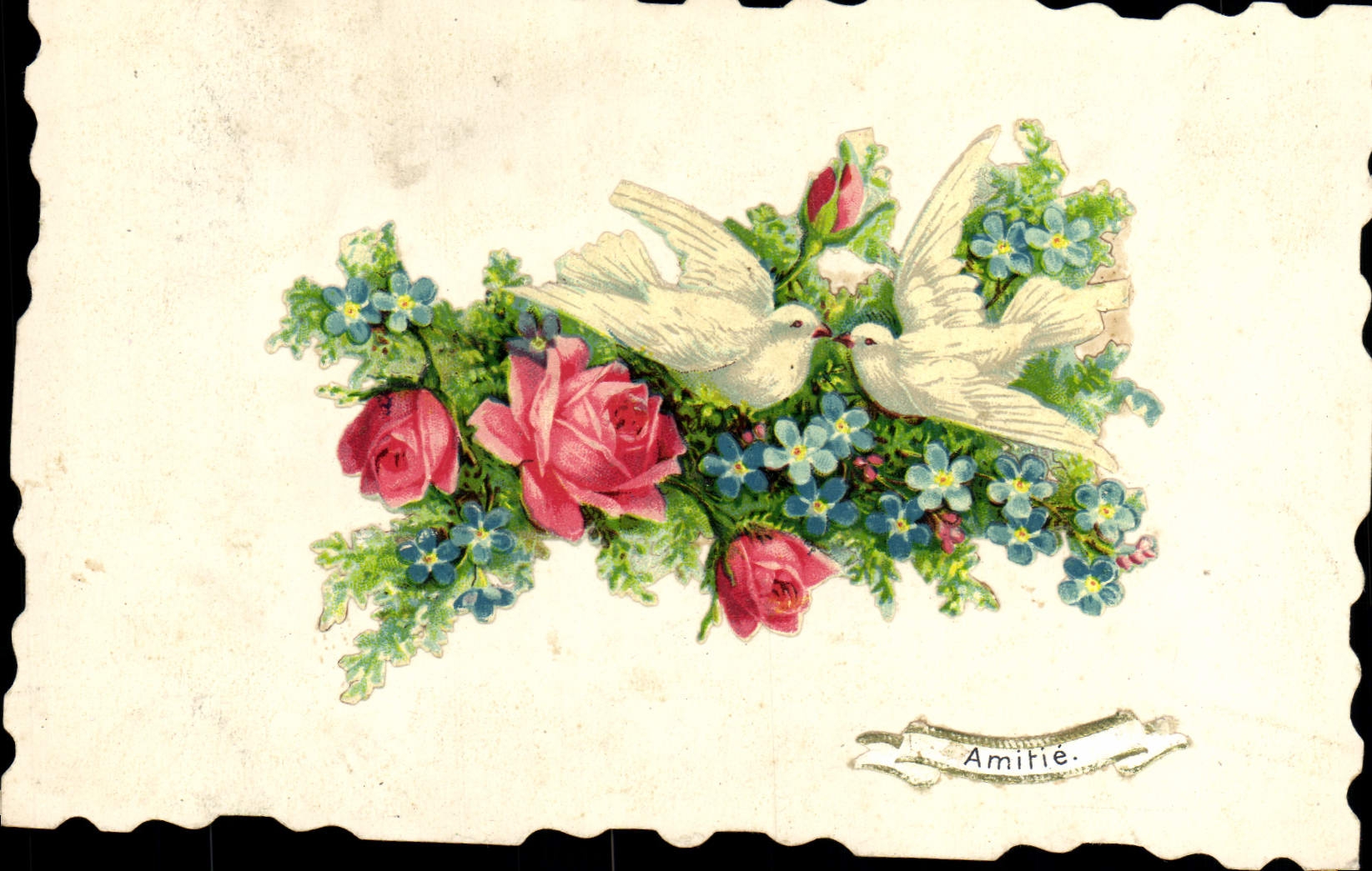 La fantasía de la POSTAL de la VENDIMIA florece palomas