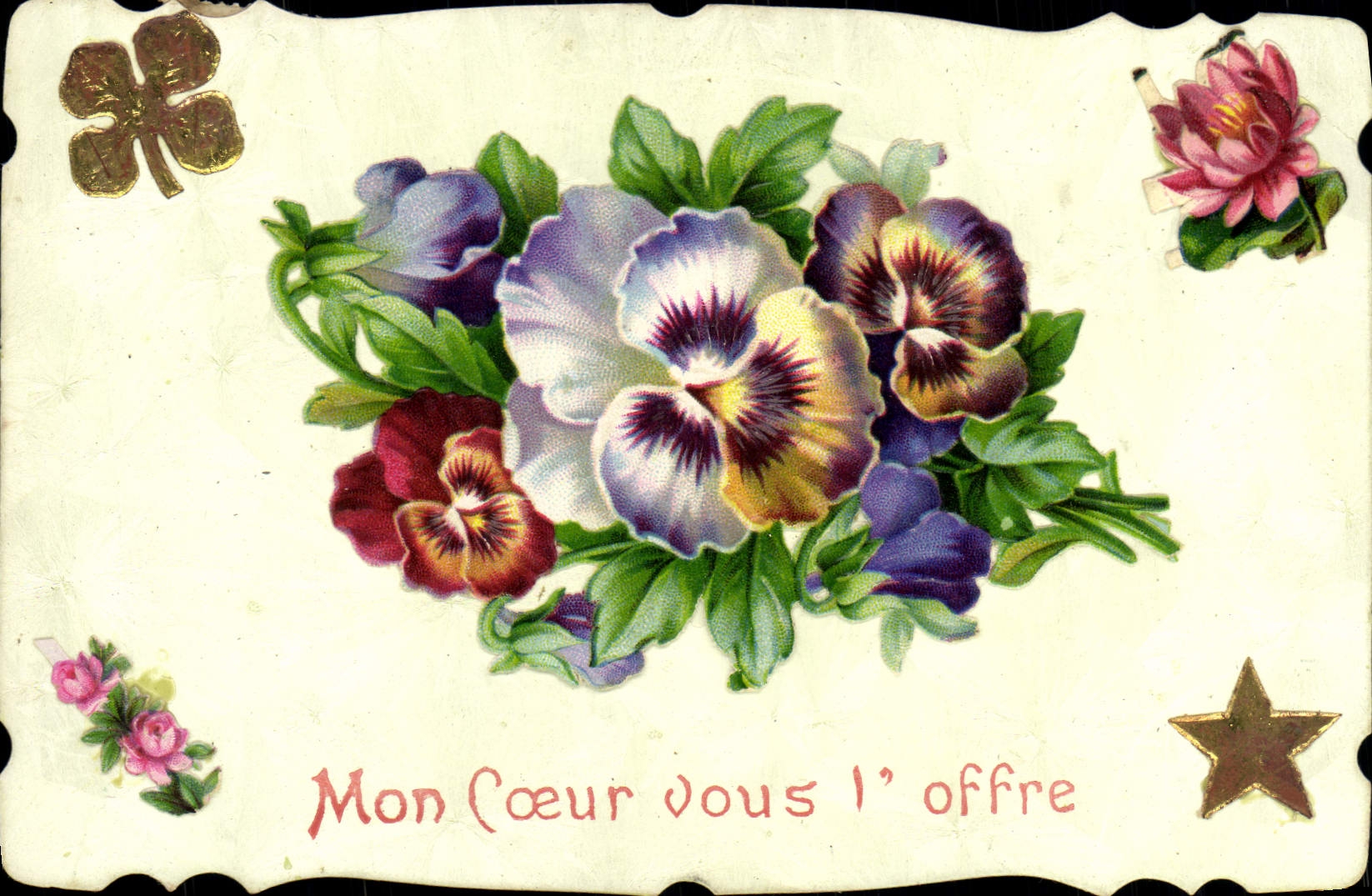 Flores de la fantasía de la POSTAL de la VENDIMIA