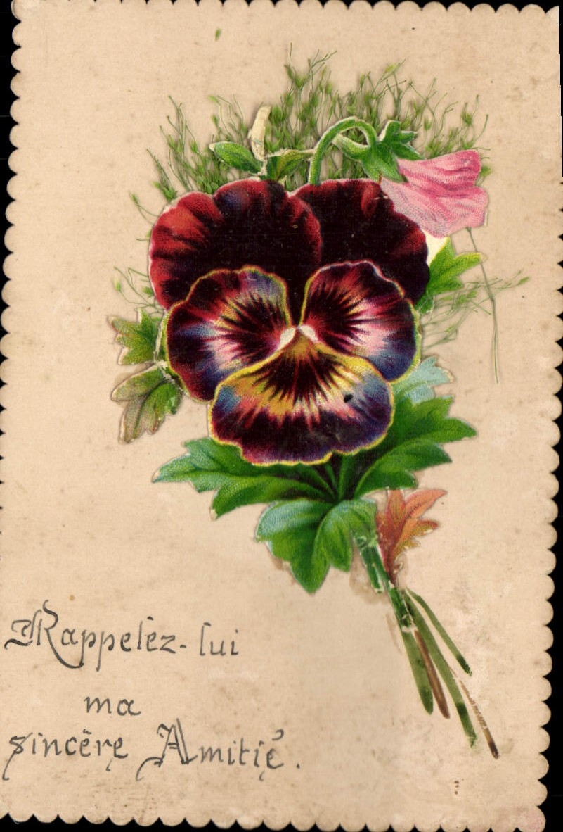 Flores de la fantasía de la POSTAL de la VENDIMIA