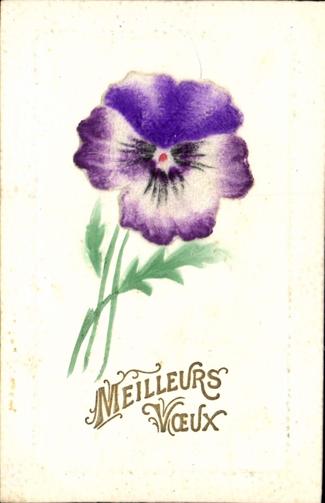 Flores de la fantasía de la POSTAL de la VENDIMIA