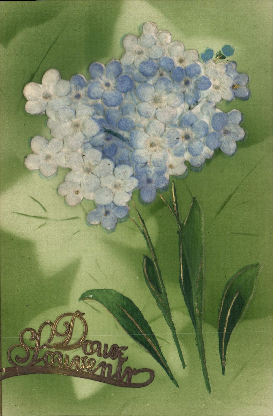 Flores de la fantasía de la POSTAL de la VENDIMIA