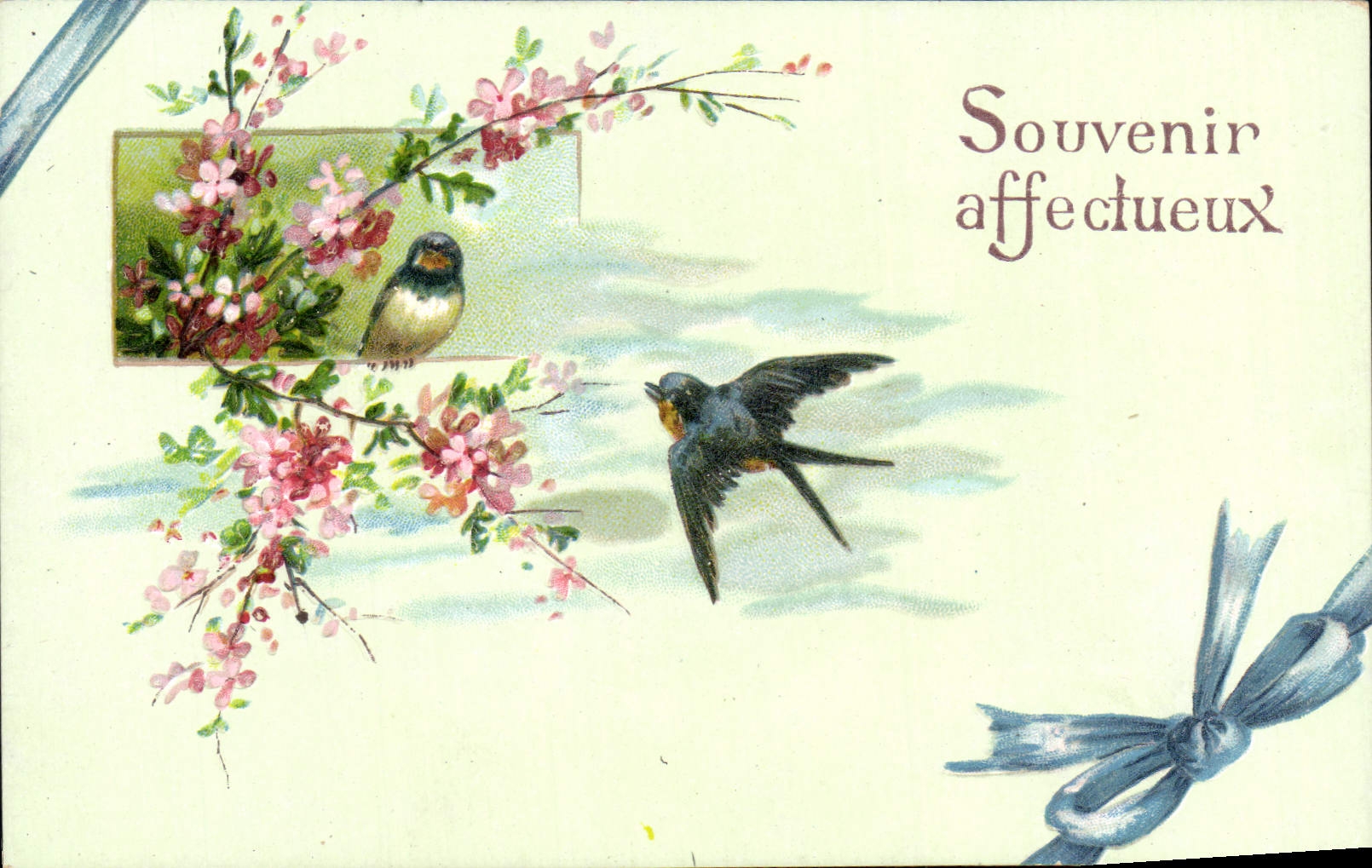 Tragos de las flores de la fantasía de la POSTAL de la VENDIMIA