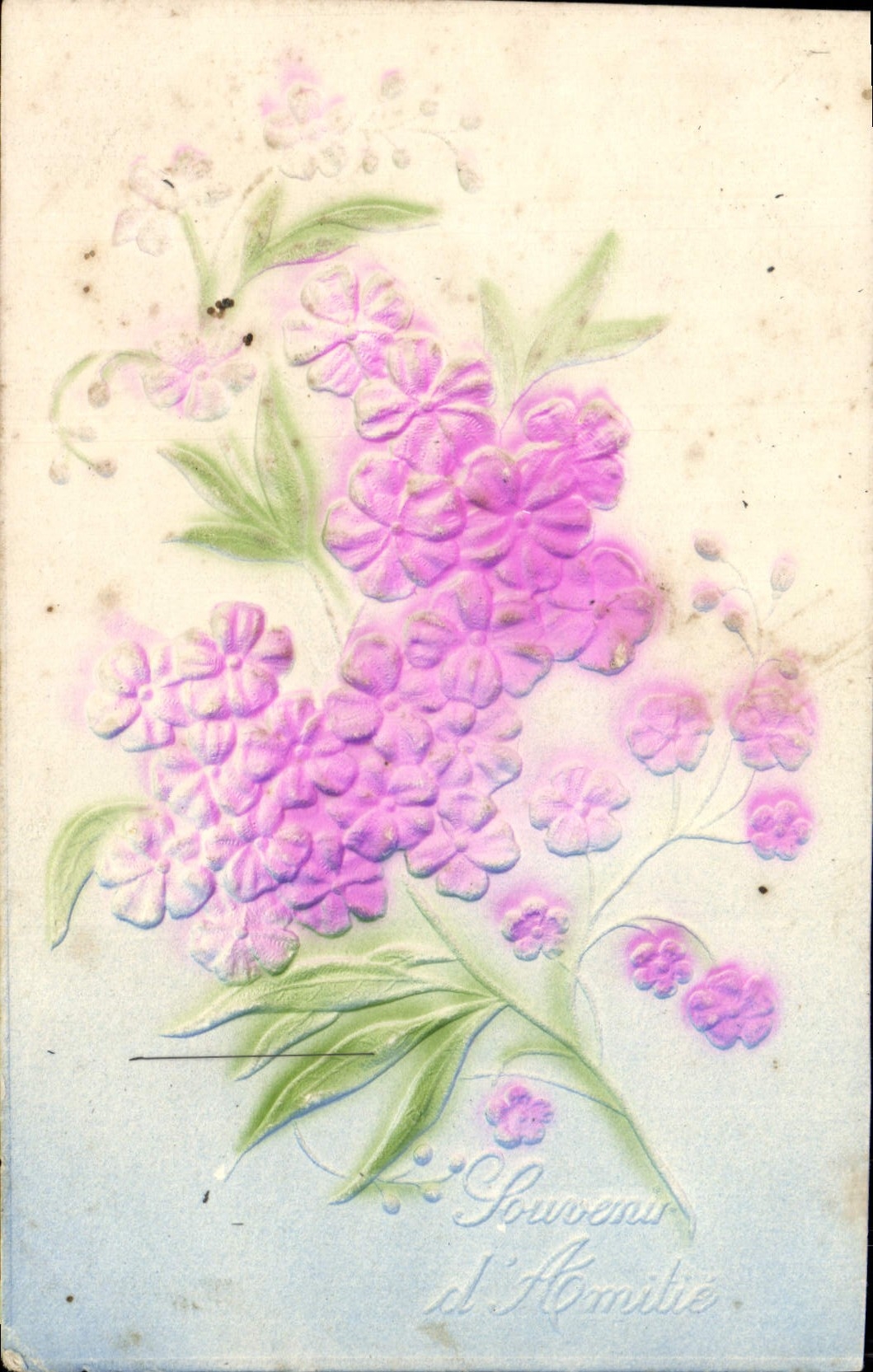 Flores de la fantasía de la POSTAL de la VENDIMIA