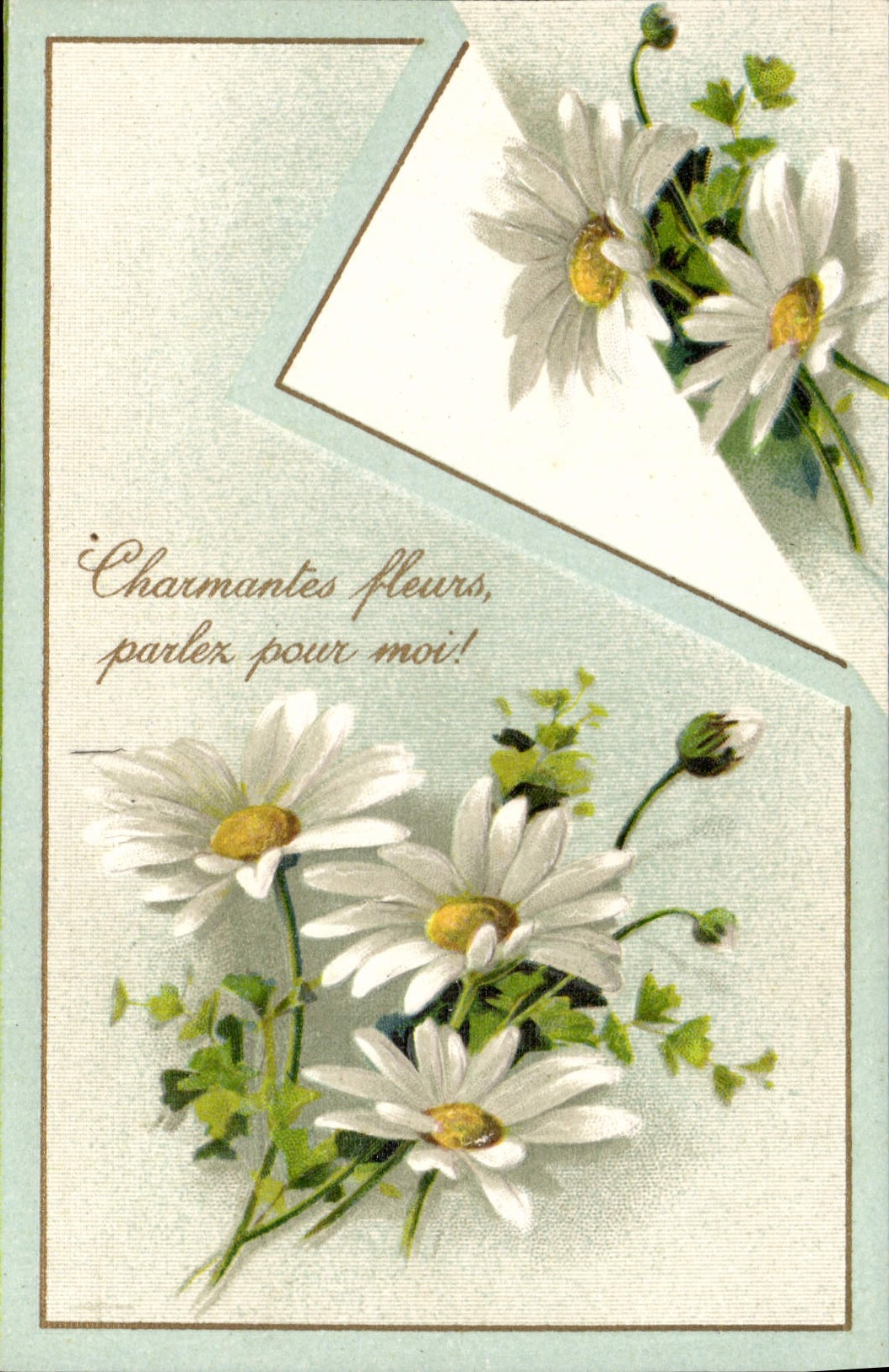 Flores de la fantasía de la POSTAL de la VENDIMIA