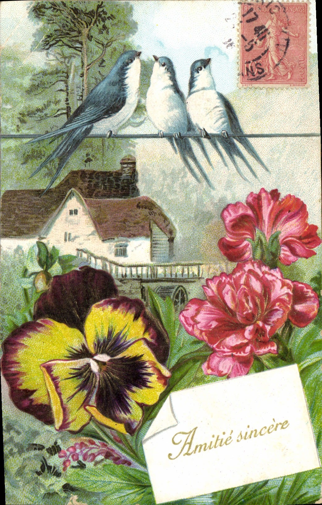 Tragos de las flores de la fantasía de la POSTAL de la VENDIMIA