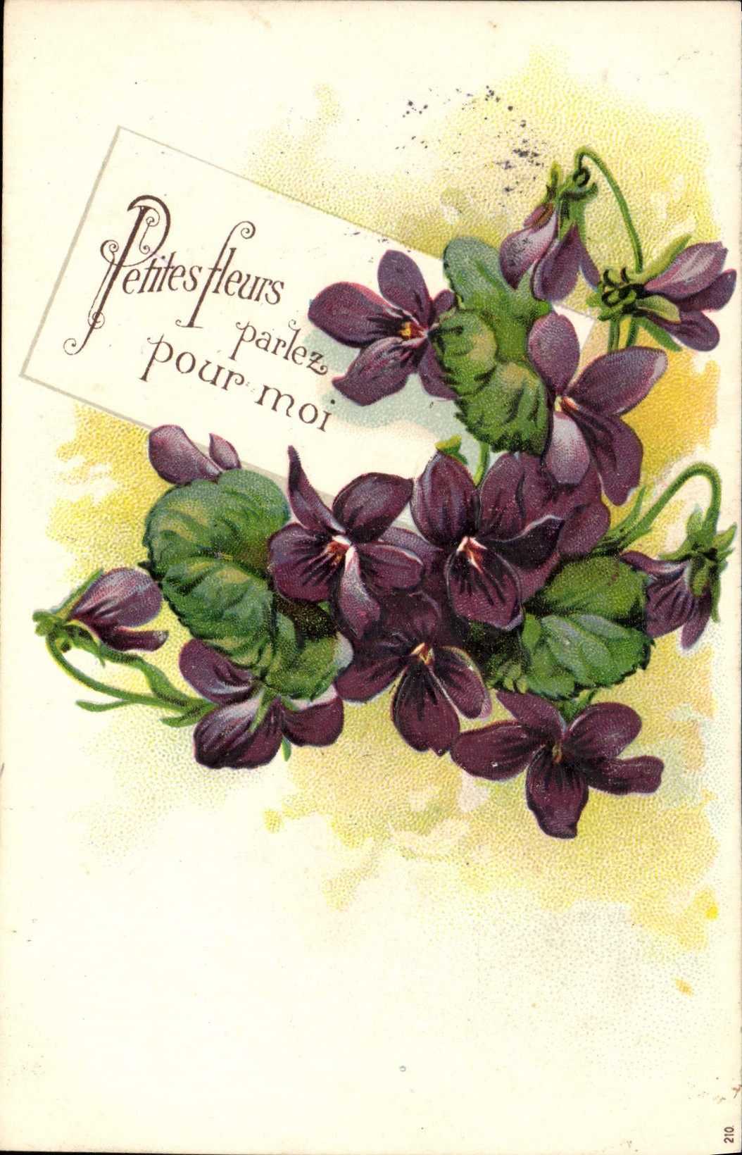 VINTAGE POSTCARD Fantasy Flowers