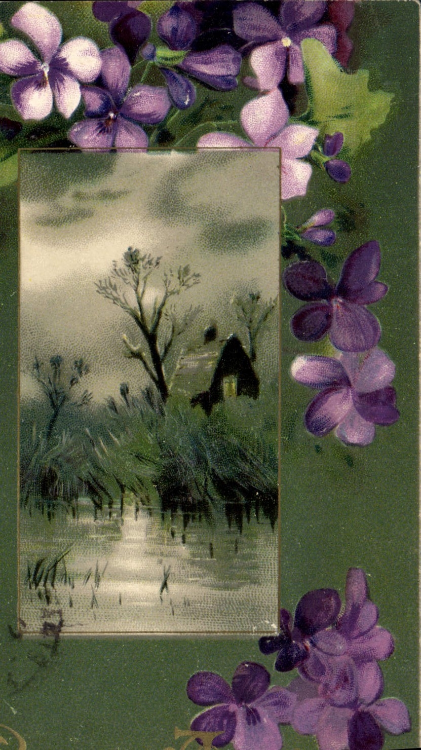 VINTAGE POSTCARD Fantasy Flowers