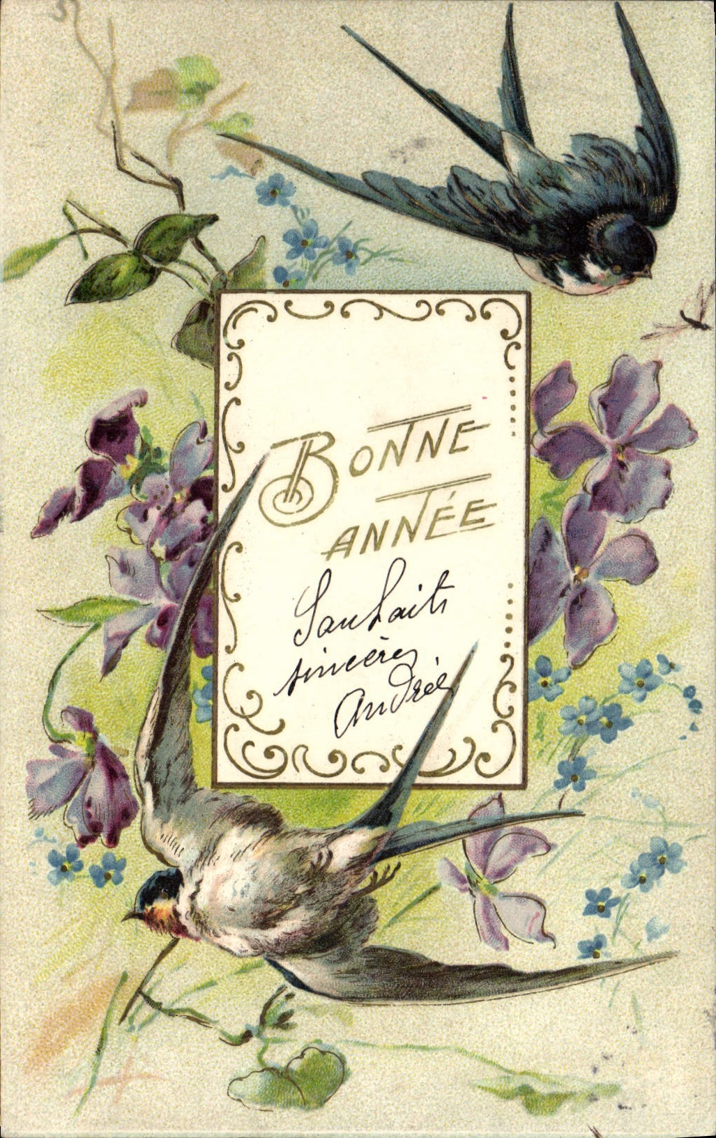 VINTAGE POSTCARD Fantasy Flowers Swallows
