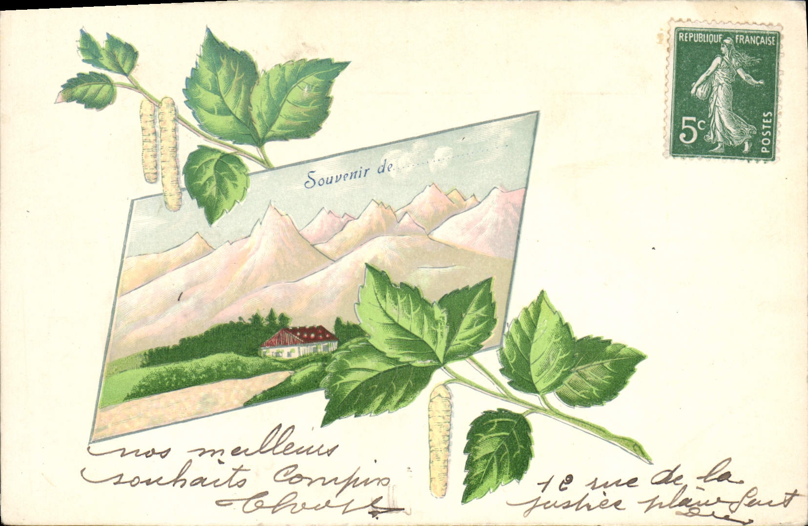 CPA Fantaisie Fleurs Feuilles Montagne