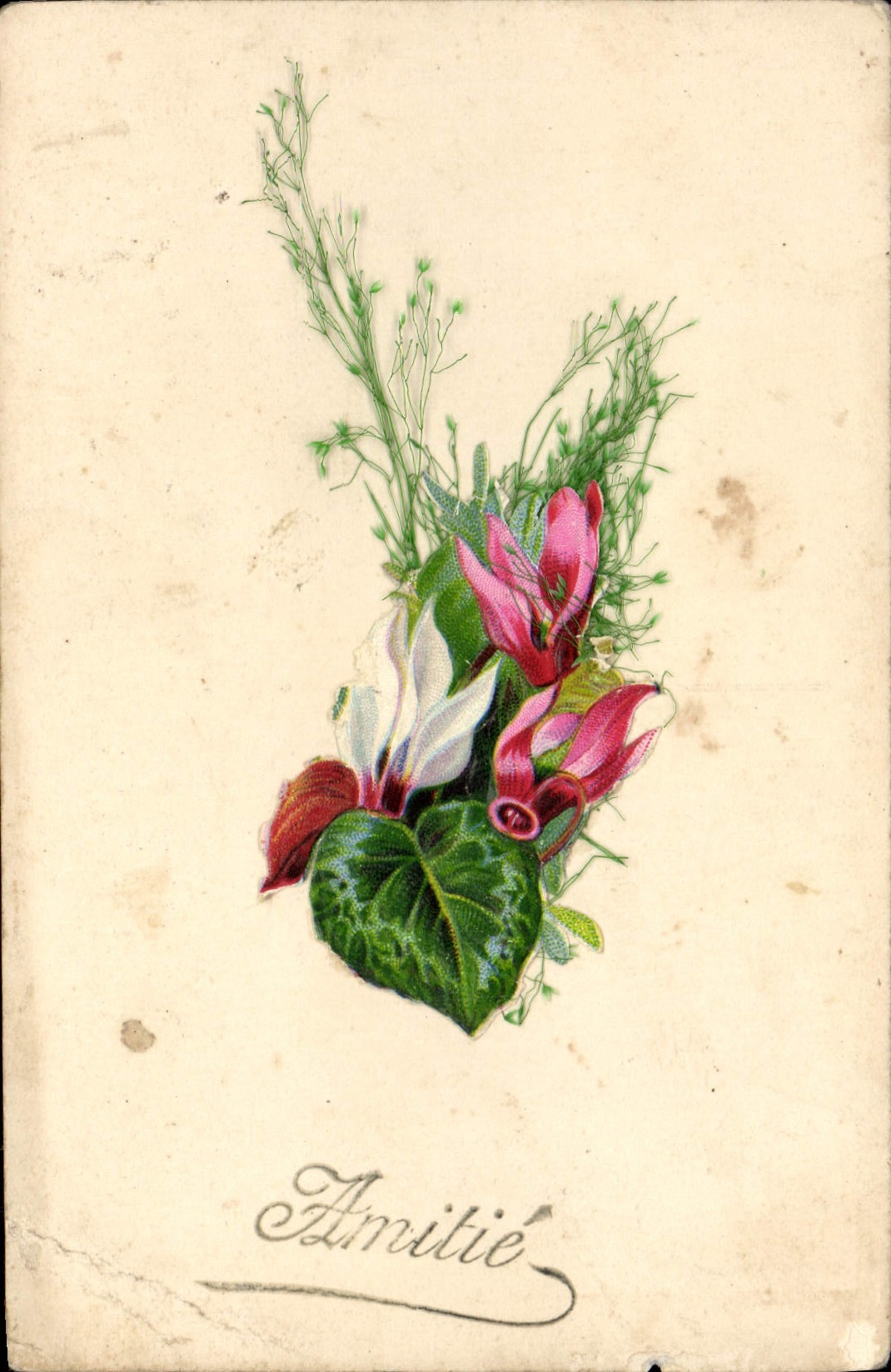 VINTAGE POSTCARD Fantasy Flowers