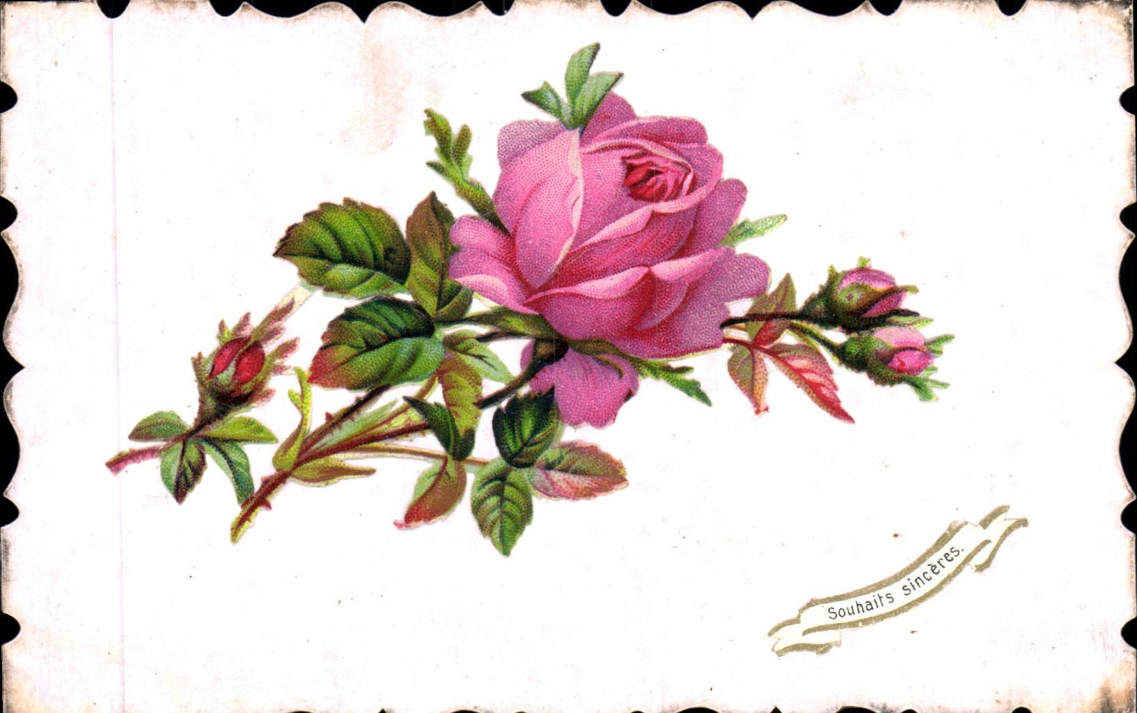 VINTAGE POSTCARD Fantasy Flowers